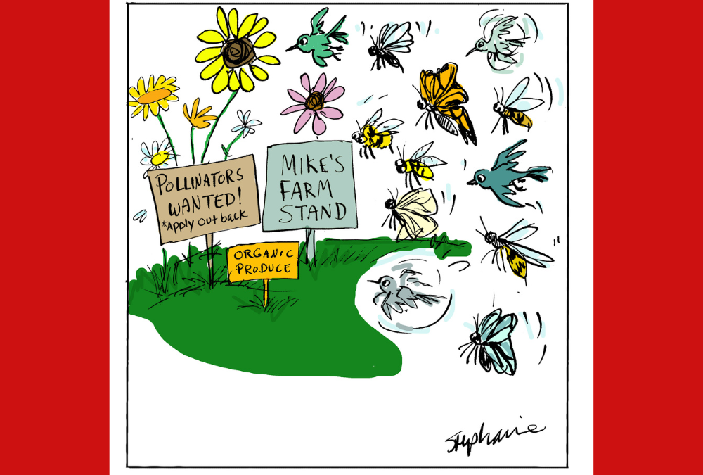 Welcome Pollinators to Your Garden