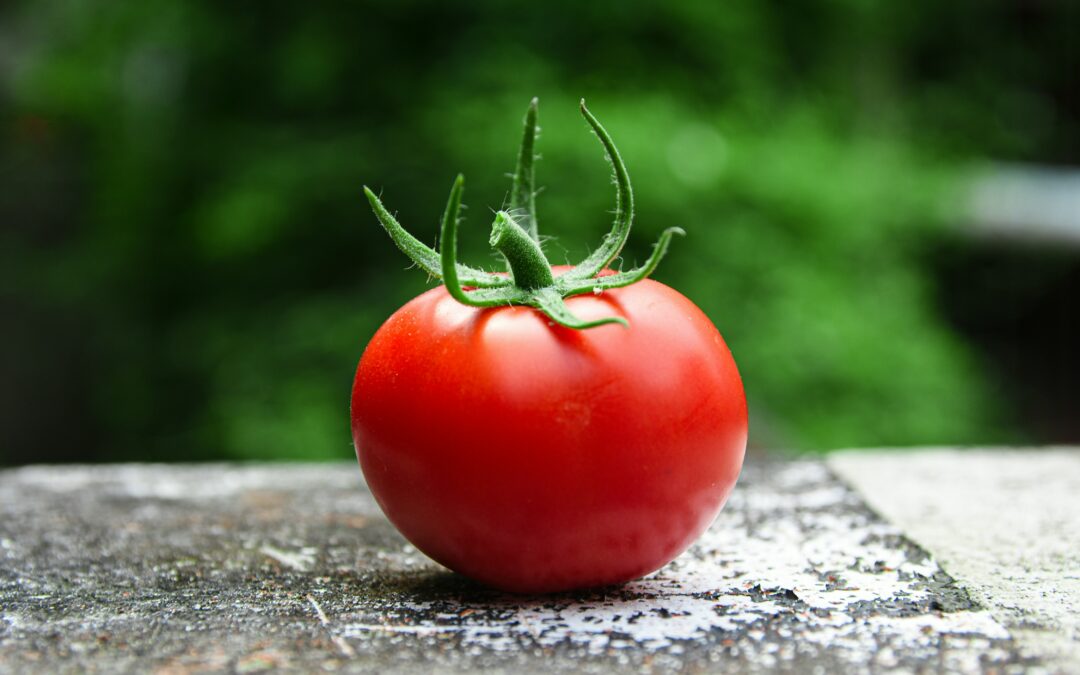 You Say Tomato — But If You Haven’t Tasted One Ripe from the Vine, You Haven’t Had A “Real” Tomato